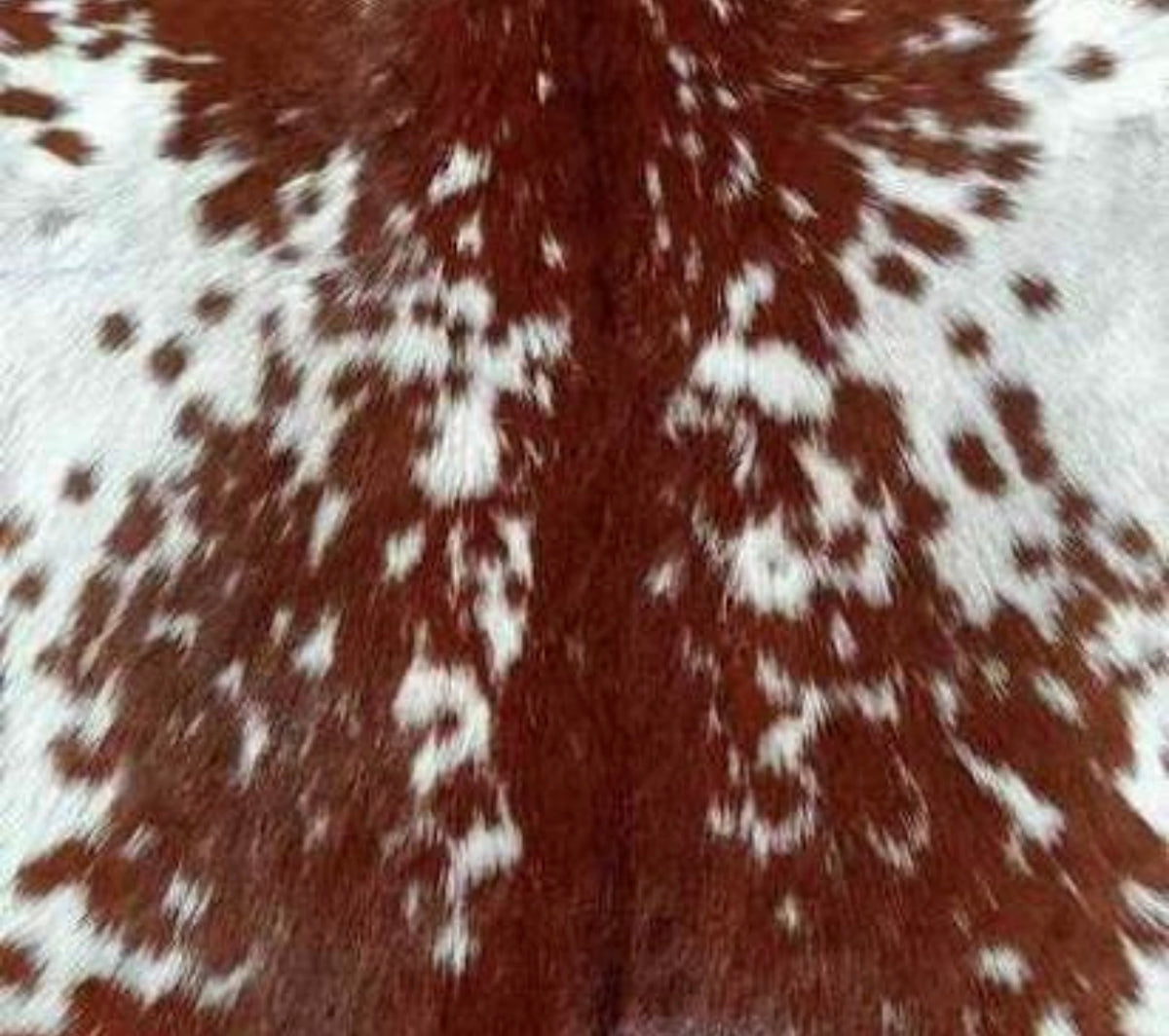 Leather pattern collection