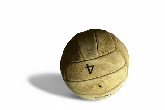 Volleyball balls